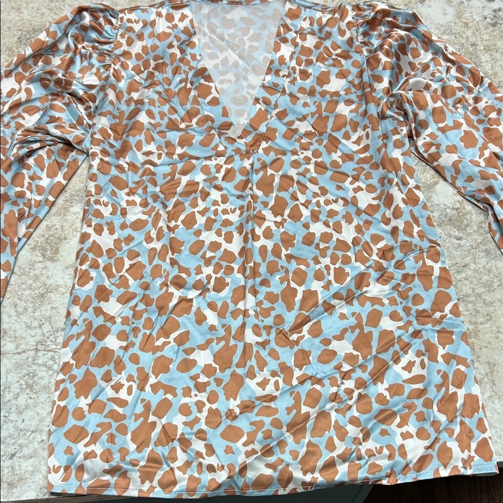 Animal Print V-Neck Blouse